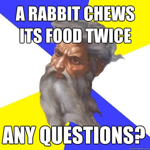 a rabbit chews its food twice any questions? - a rabbit chews its food twice any questions?  Advice God