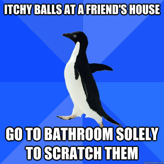 itchy balls at a friend's house go to bathroom solely to scratch them - itchy balls at a friend's house go to bathroom solely to scratch them  Socially Awkward Penguin