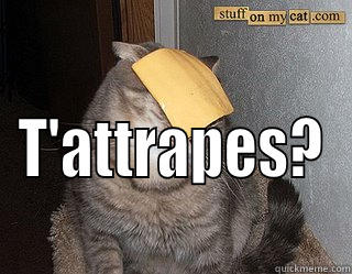  T'ATTRAPES? Misc