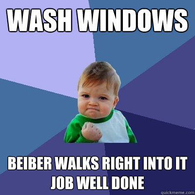 wash windows beiber walks right into it 
job well done  Success Kid