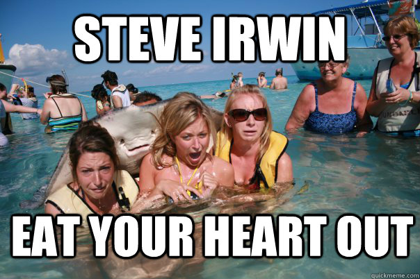 Steve Irwin eat your heart out  Pervert Stingray