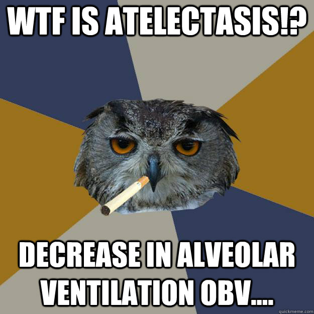 WTF is atelectasis!? decrease in alveolar ventilation obv....  Art Student Owl