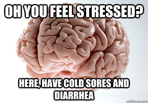 Oh you feel stressed? Here, have cold sores and diarrhea - Oh you feel stressed? Here, have cold sores and diarrhea  Scumbag Brain