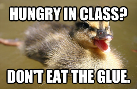 HUNGRY IN CLASS? DON'T EAT THE GLUE. - HUNGRY IN CLASS? DON'T EAT THE GLUE.  Adolescent Advice Mallard