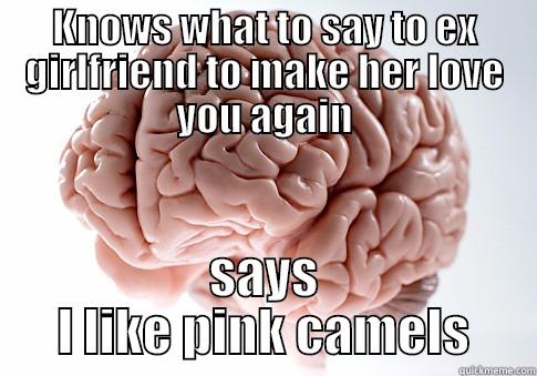 KNOWS WHAT TO SAY TO EX GIRLFRIEND TO MAKE HER LOVE YOU AGAIN SAYS L LIKE PINK CAMELS Scumbag Brain