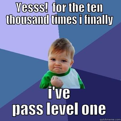 YESSS!  FOR THE TEN THOUSAND TIMES I FINALLY I'VE PASS LEVEL ONE Success Kid