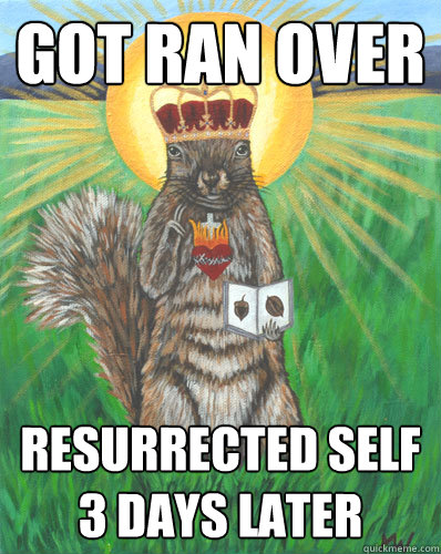 Got ran over resurrected self 3 days later  Squirrel Jesus