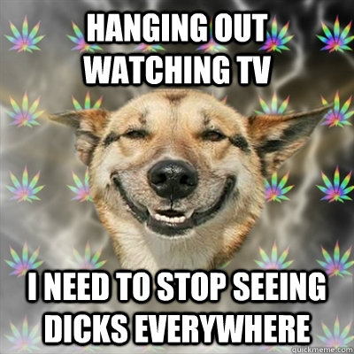 Hanging out watching tv I need to stop seeing dicks everywhere  Stoner Dog