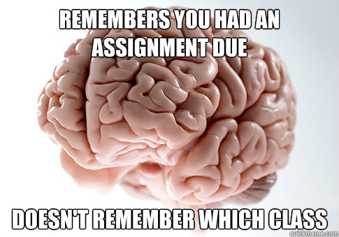 Remembers you had an assignment due Doesn't remember which class  Scumbag Brain