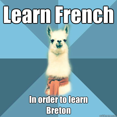 Learn French In order to learn 
Breton  Linguist Llama