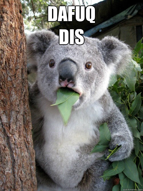 DAFUQ 
DIS  - DAFUQ 
DIS   koala bear