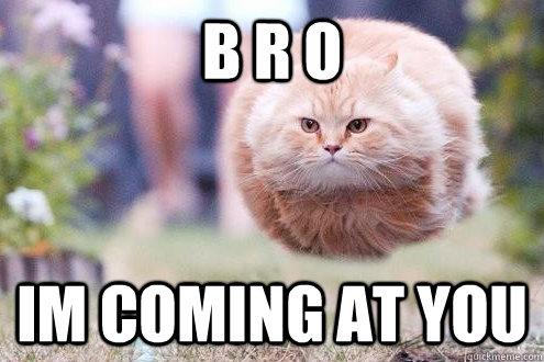 B R O Im coming at you - B R O Im coming at you  epic cat