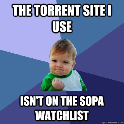 the torrent site i use isn't on the SOPA watchlist  Success Kid