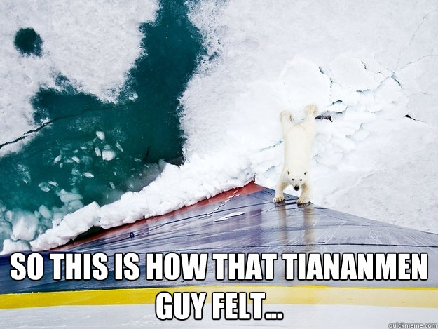  so this is how that Tiananmen guy felt...  Polar Bear