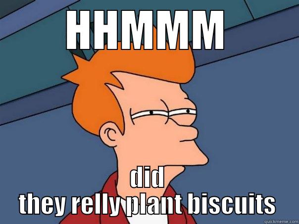 HHMMM DID THEY RELLY PLANT BISCUITS Futurama Fry