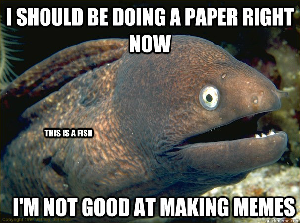 I should be doing a paper right now I'm not good at making memes this is a fish  Bad Joke Eel