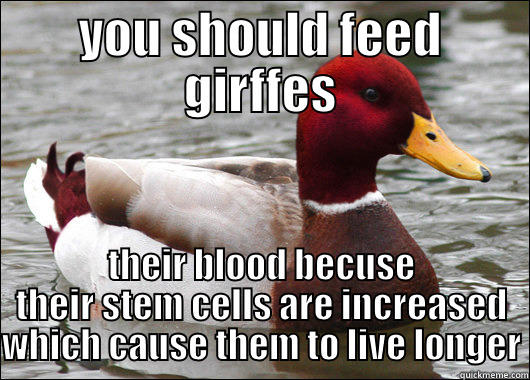 YOU SHOULD FEED GIRFFES THEIR BLOOD BECUSE THEIR STEM CELLS ARE INCREASED WHICH CAUSE THEM TO LIVE LONGER Malicious Advice Mallard