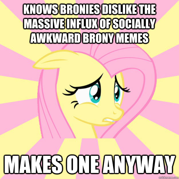 Knows Bronies dislike the massive influx of Socially Awkward brony memes Makes One Anyway  Socially awkward brony