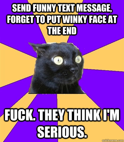 send funny text message, forget to put winky face at the end Fuck. They think I'm serious.  Anxiety Cat