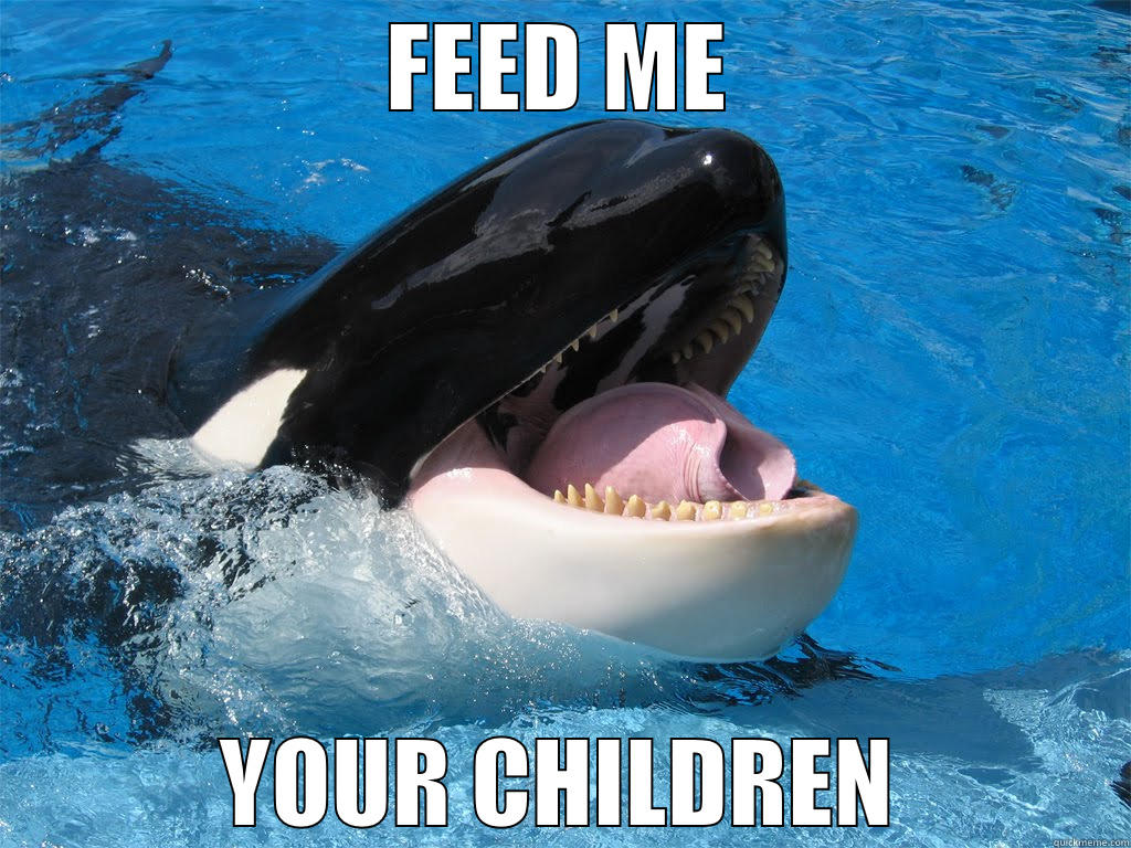 hungry orca - FEED ME YOUR CHILDREN Misc