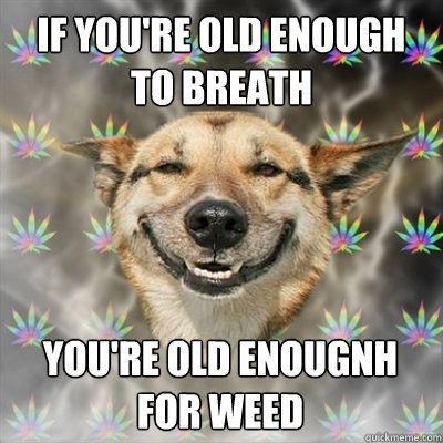 if you're old enough to breath you're old enougnh for weed  Stoner Dog