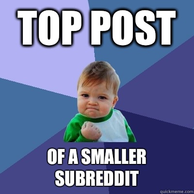 Top post Of a smaller subreddit  Success Kid