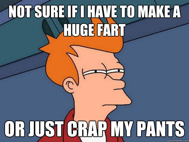 not sure if I have to make a huge fart or just crap my pants - not sure if I have to make a huge fart or just crap my pants  Futurama Fry