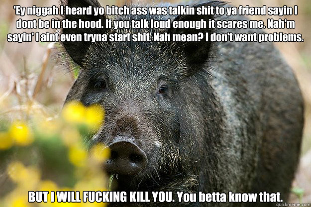 'Ey niggah I heard yo bitch ass was talkin shit to ya friend sayin I dont be in the hood. If you talk loud enough it scares me. Nah'm sayin' I aint even tryna start shit. Nah mean? I don't want problems. BUT I WILL FUCKING KILL YOU. You betta know that.  Boars in the Hood