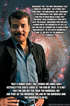 Recognize that the very molecules that make up your body, the atoms that construct the molecules, are traceable to the crucibles that were once the centers of high mass stars that exploded their chemically rich guts into the galaxy, enriching pristine gas  Neil deGrasse Tyson