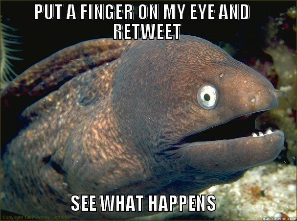 PUT A FINGER ON MY EYE AND    RETWEET                  SEE WHAT HAPPENS                    Bad Joke Eel