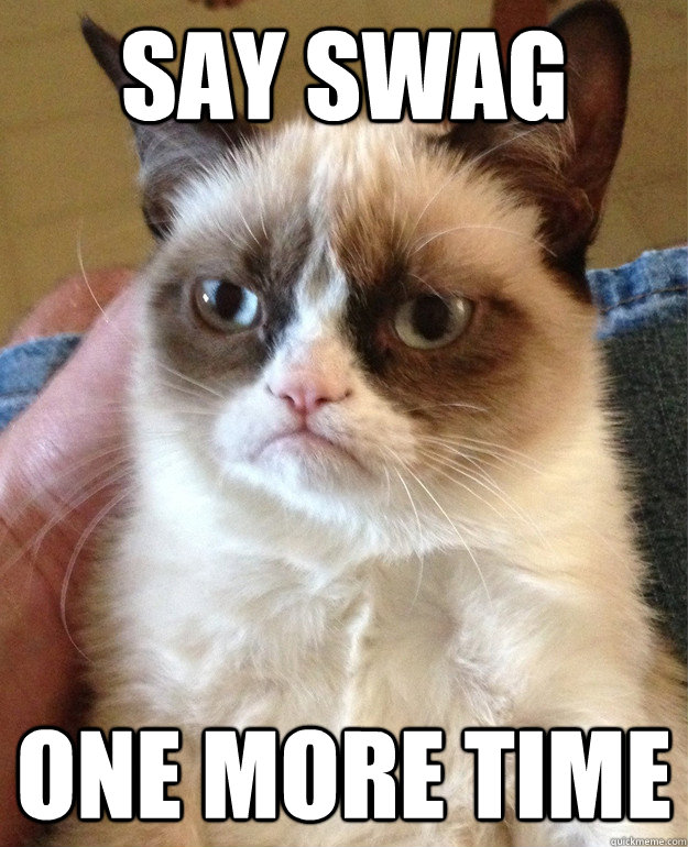 Say Swag one more time  Grumpy Cat