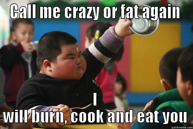 CALL ME CRAZY OR FAT AGAIN I WILL BURN, COOK AND EAT YOU Misc