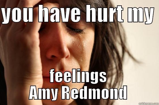 YOU HAVE HURT MY  FEELINGS AMY REDMOND First World Problems