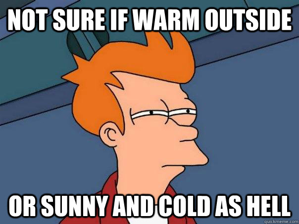 Not sure if warm outside Or sunny and cold as hell  Futurama Fry