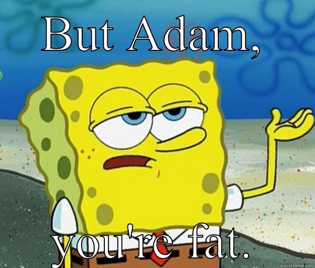 Fat Adam - BUT ADAM, YOU'RE FAT. Tough Spongebob