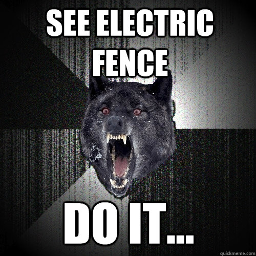 see electric fence do it... - see electric fence do it...  Insanity Wolf