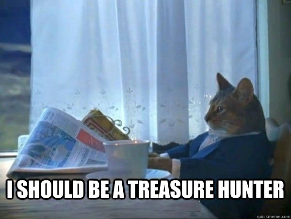 I should be a treasure hunter  - I should be a treasure hunter   morning realization newspaper cat meme