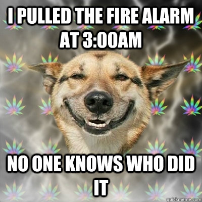 I pulled the fire alarm at 3:00am NO one knows who did it  Stoner Dog