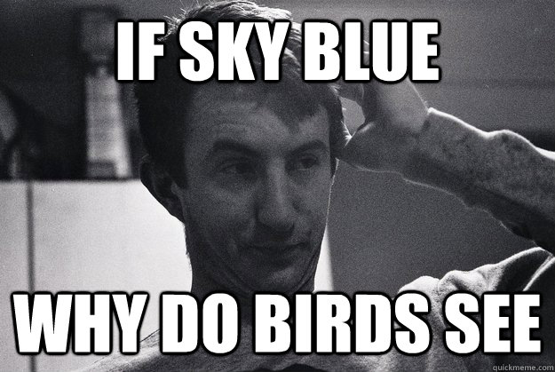 IF sky blue Why do birds see  