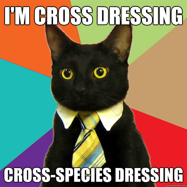 I'm Cross Dressing Cross-species dressing  Business Cat