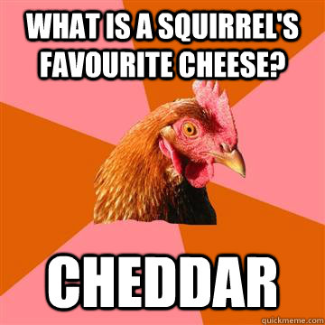 What is a squirrel's favourite cheese? cheddar  Anti-Joke Chicken