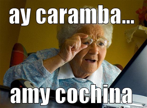 gramma  - AY CARAMBA... AMY COCHINA Grandma finds the Internet