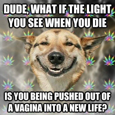 dude, what if the light you see when you die is you being pushed out of a vagina into a new life?  Stoner Dog