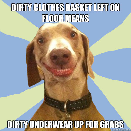 dirty clothes basket left on floor means dirty underwear up for grabs  Disgusting Doggy