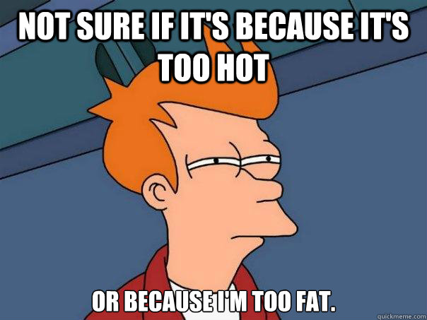 not sure if it's because it's too hot or because I'm too fat.  Futurama Fry