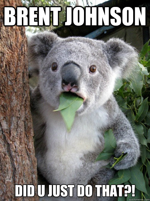 BRENT JOHNSON did u just do that?! - BRENT JOHNSON did u just do that?!  koala bear