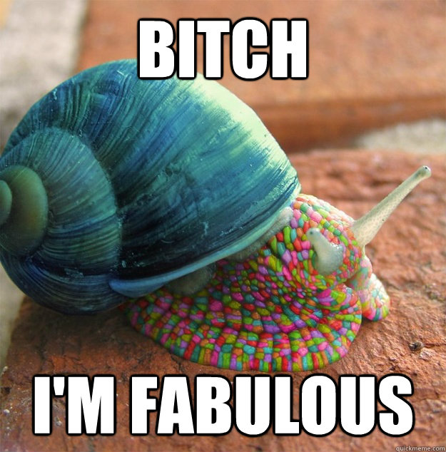 BITCH I'M FABULOUS  Fabulous Snail