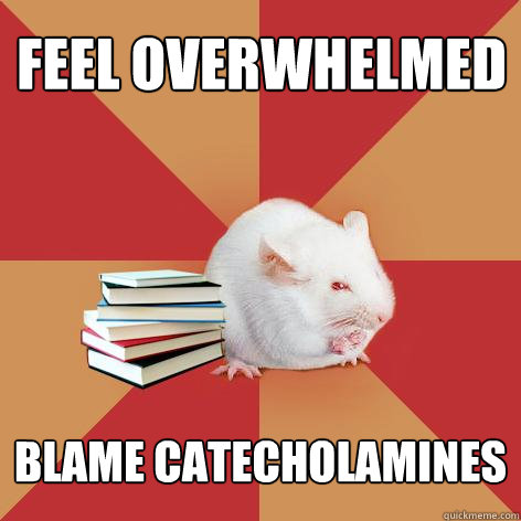 feel overwhelmed blame catecholamines  Science Major Mouse