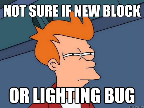 NOT SURE IF new block
 OR lighting bug  Futurama Fry