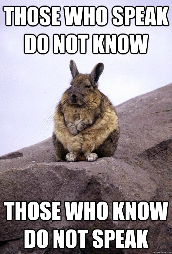 those who speak do not know those who know do not speak  Wise Wondering Viscacha